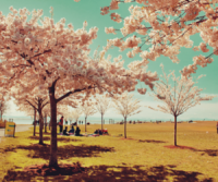 /album/like-ha-tetszik-es-jonnek-az-ujak-d/alap-27-png/